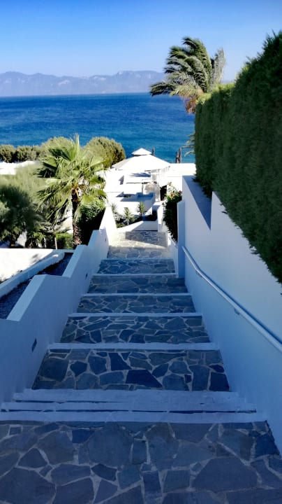 Ausblick Dimitra Beach Hotel & Suites