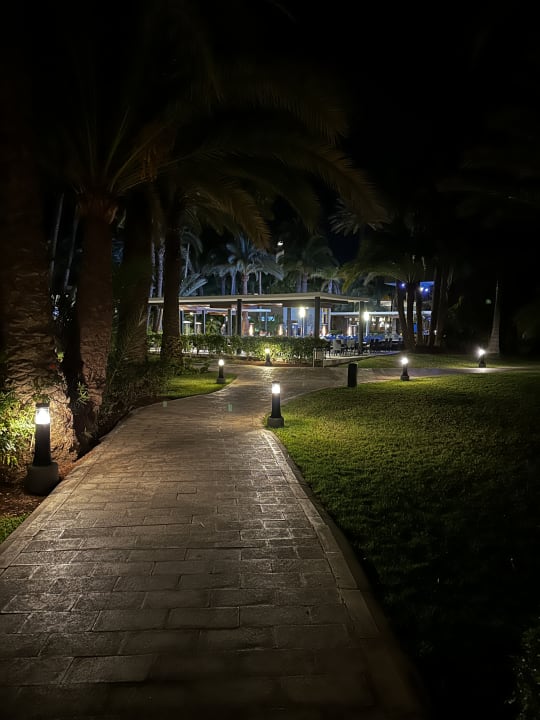 Gartenanlage Hotel Riu Palace Oasis