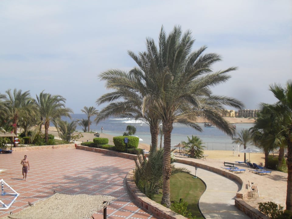 Vue de la terrasse du déjeuner Steigenberger Coraya Beach - Adults only