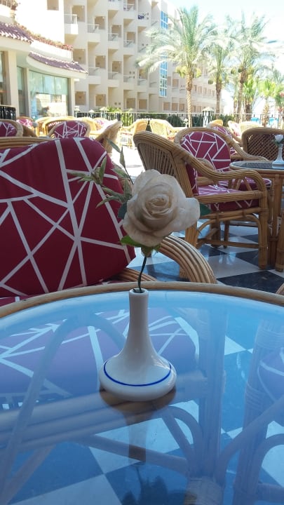 Gastro Sea Star Beau Rivage