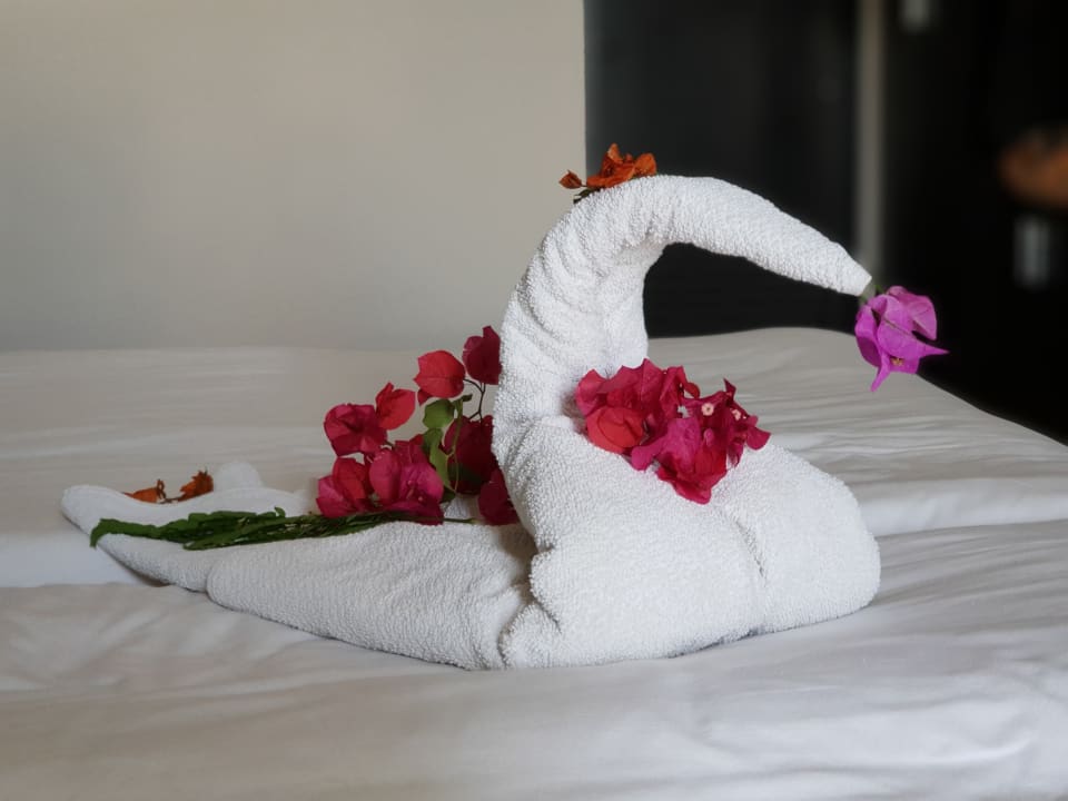 Zimmer Nozha Beach Resort & Spa