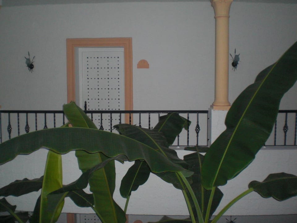 Zimmer Hotel Nesrine