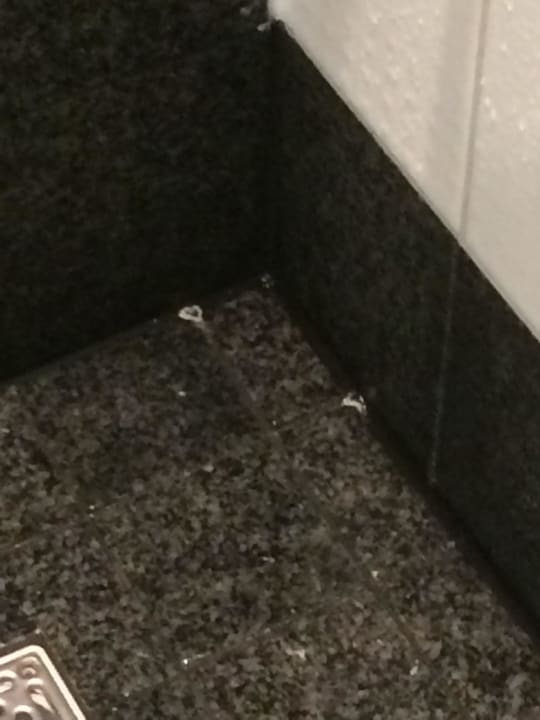 Duscherand Park Plaza London Riverbank