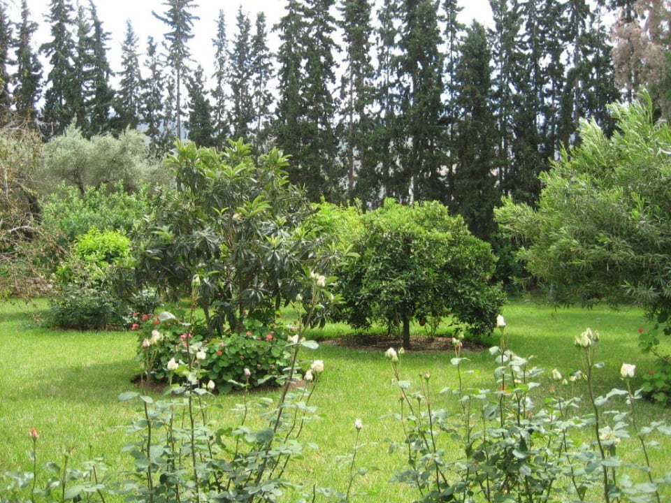 Hotelgaren Hotel Le Tazarkount