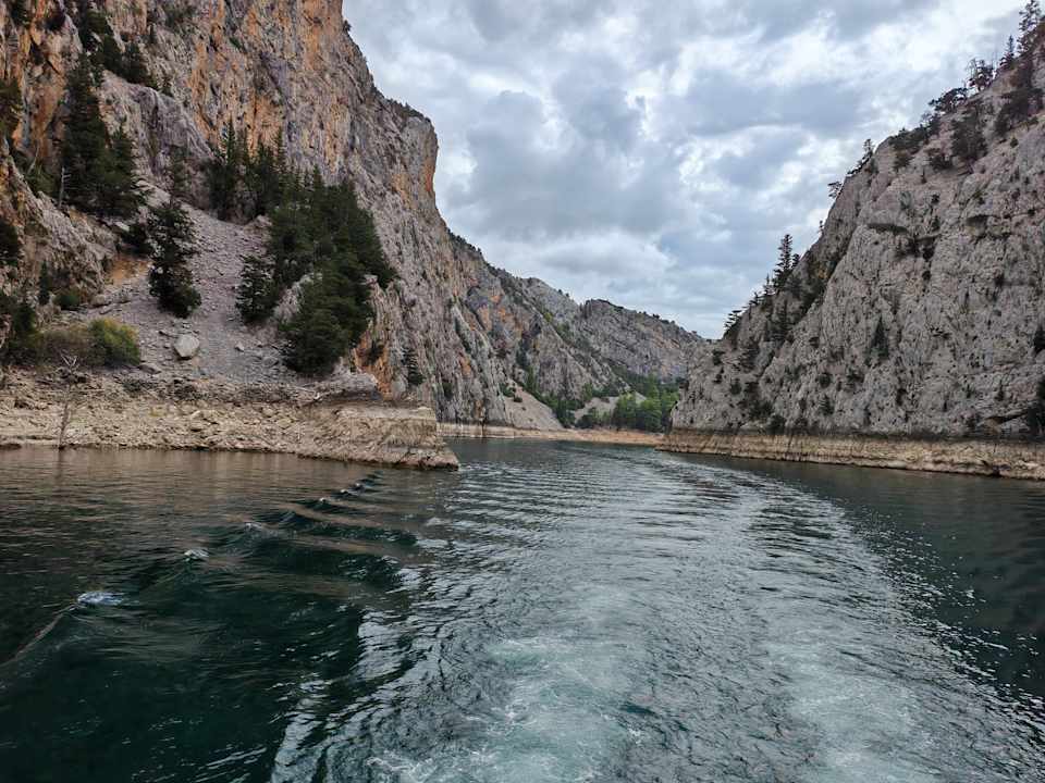 Sonstiges Delphin BE Grand