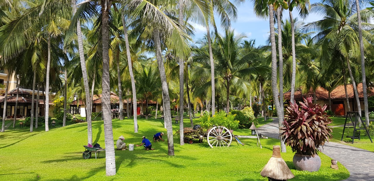 Gartenanlage Seahorse Resort & Spa