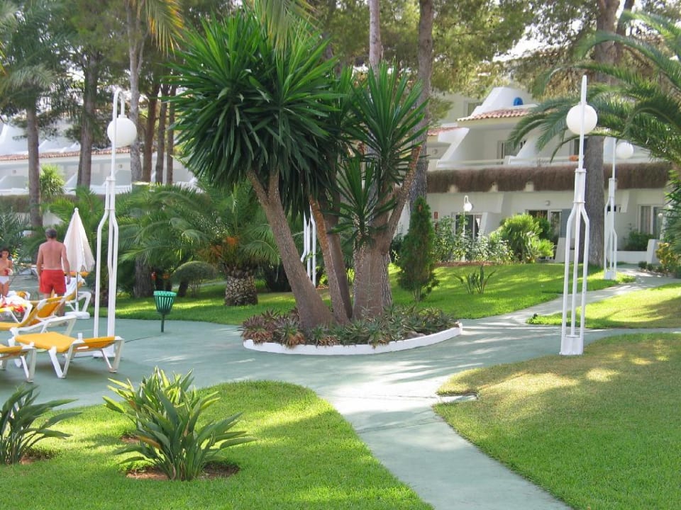 Blick auf die Balkone und Terrassen Iberostar Waves Pinos Park