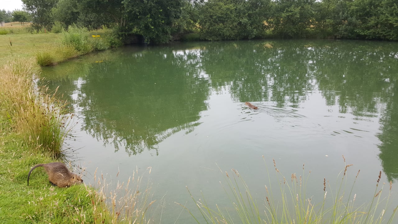 Sonstiges Best Western Premier Castanea Resort Hotel