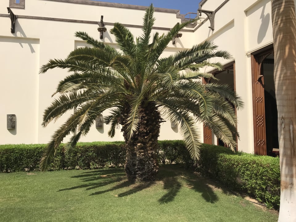 Gartenanlage Stella Beach Resort & Spa Makadi Bay