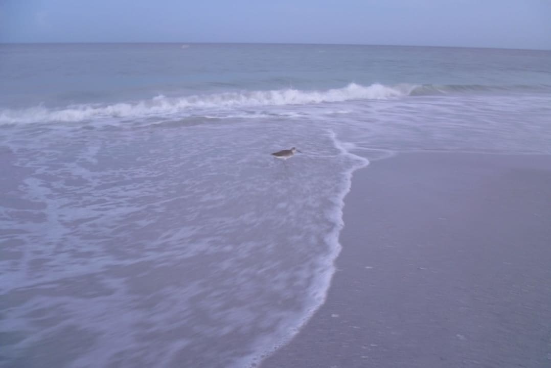 Strand Hotel Dolphin Beach Resort