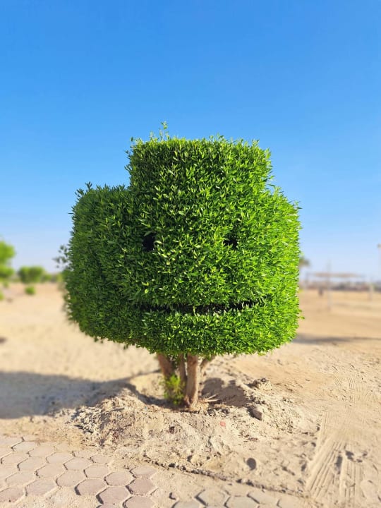 Gartenanlage Malikia Resort Abu Dabbab