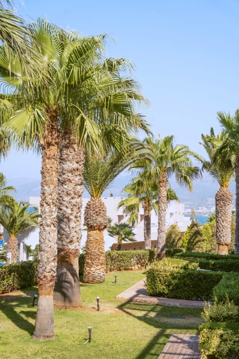 Gartenanlage Grand Hotel Holiday Resort