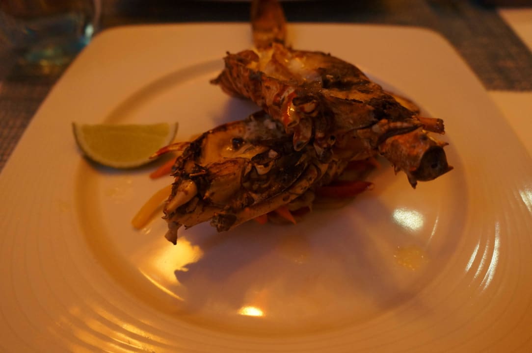 Super jedzenie - langusta  Royalton Splash Punta Cana