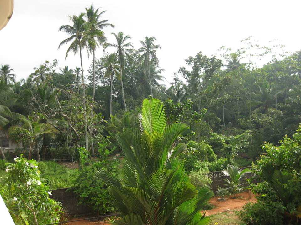 Balkon - view balcony Guesthouse Shanthi Ayurveda Home
