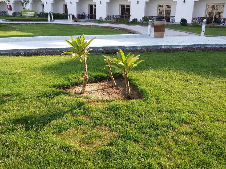 Garten und Pool Blend Club Aqua Resort