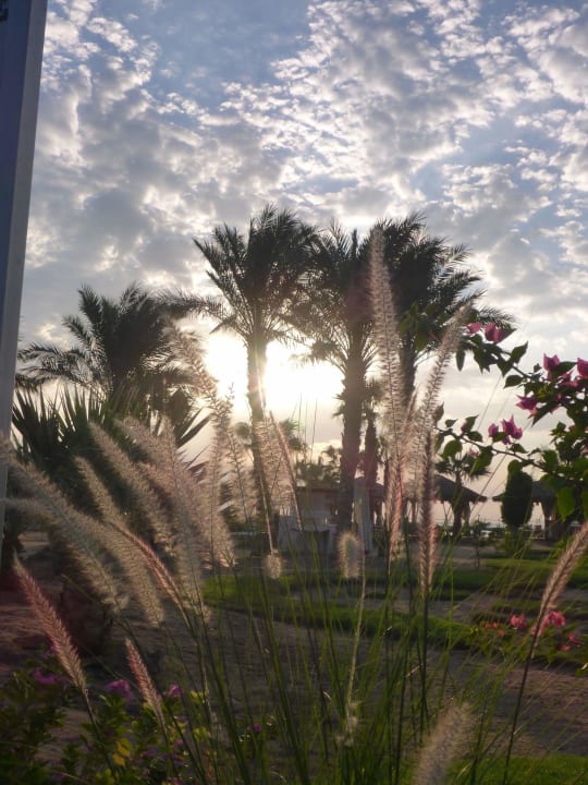 Gartenanlage Amwaj Beach Club Abu Soma Resort