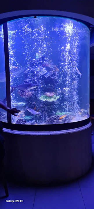 Gastro Kirman Belazur Resort & Spa