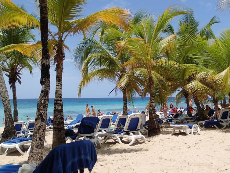 Strand Hotel Viva Dominicus Palace by Wyndham-All Inclusive Resort