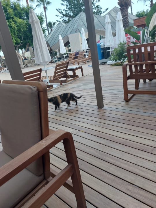 Pool Nerton Hotel - Erwachsenenhotel ab 16 Jahren