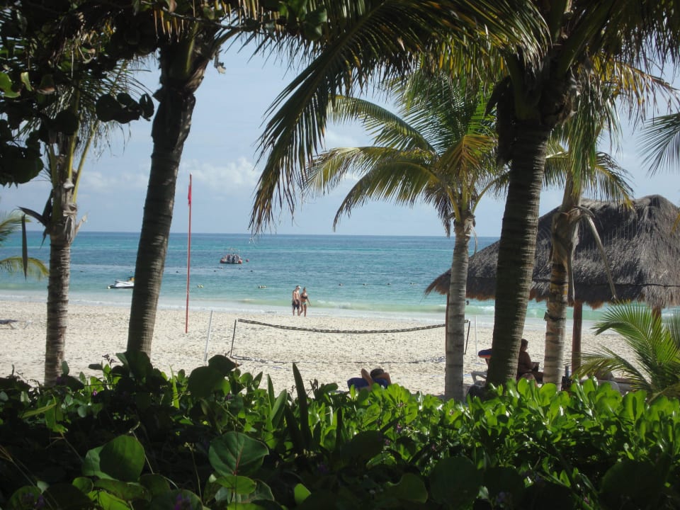 Hotel Catalonia Playa Maroma Catalonia Playa Maroma