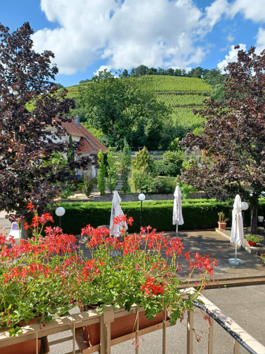 Ausblick Hotel Kastelberg