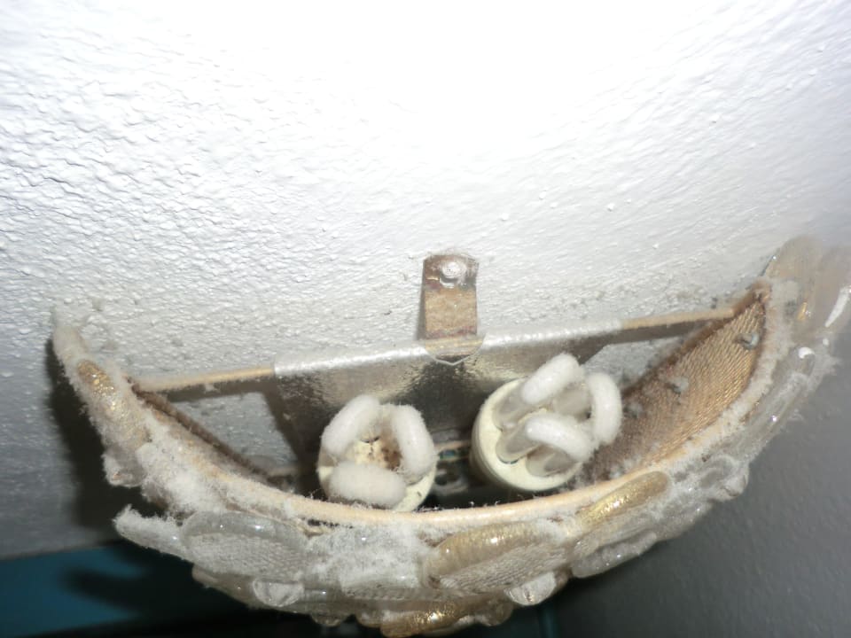 Nachtlicht Hotel Terme Royal Palm