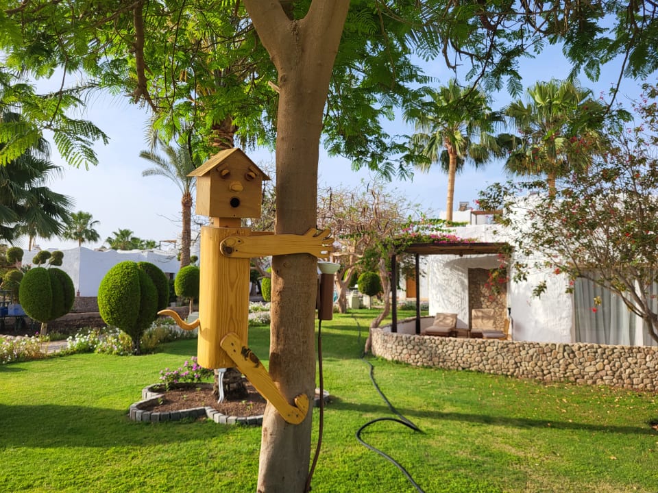 Gartenanlage Sharm Club Beach Resort