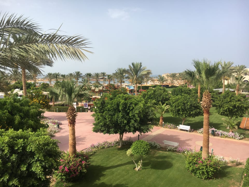 Ausblick Desert Rose