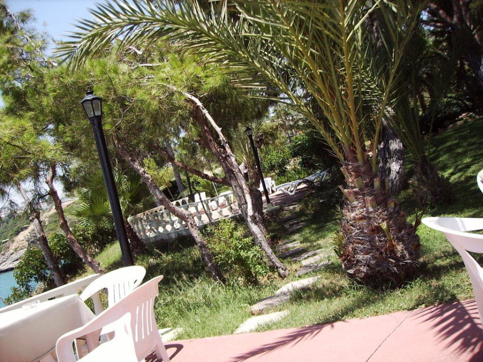 An der Poolbar İncekum West Hotel