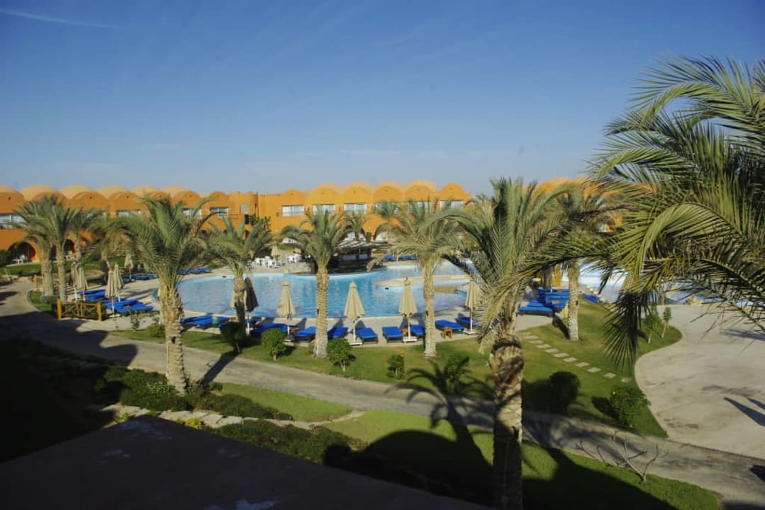 Codziennie rano... Novotel Marsa Alam Beach Resort