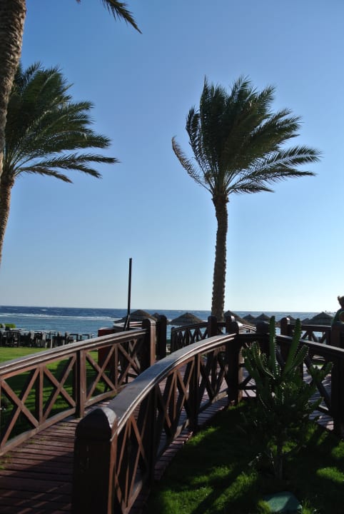 Gartenanlage Rixos Sharm El Sheikh Adults Only 18 +