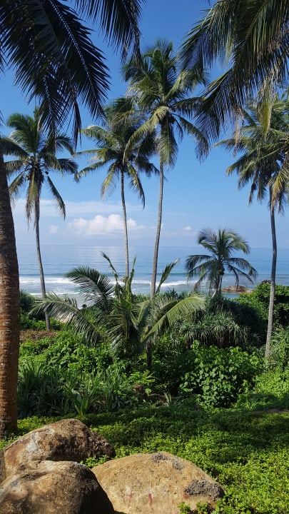 Gartenanlage Taj Bentota Resort & Spa