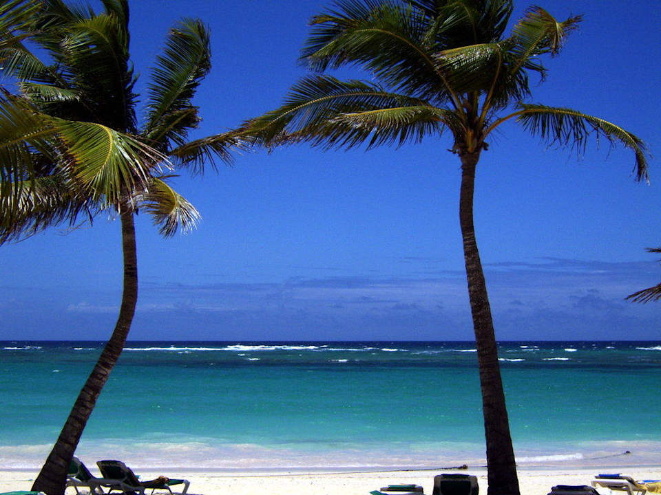 Aussicht Hotel Riu Bambu