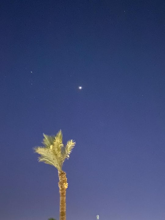 Gartenanlage Steigenberger Resort Ras Soma