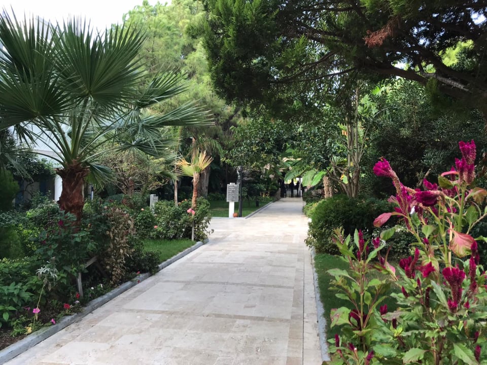 "Gartenanlage" Flora Garden Ephesus Hotel (Kusadasi) • HolidayCheck