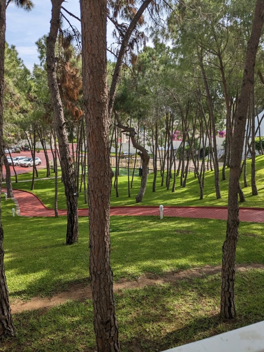 Gartenanlage Monachus Family Resort Sorgun