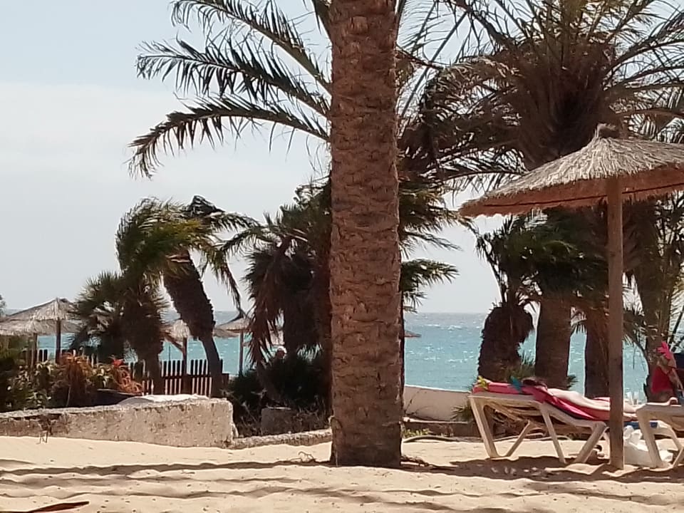 Ausblick SBH Costa Calma Beach Resort