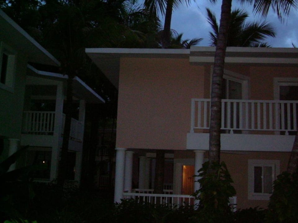 Palme die durchs Haus wächst (echt!) Playabachata Hotel