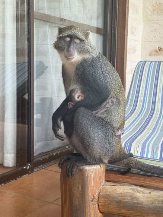 Sonstiges Baobab Beach Resort & Spa