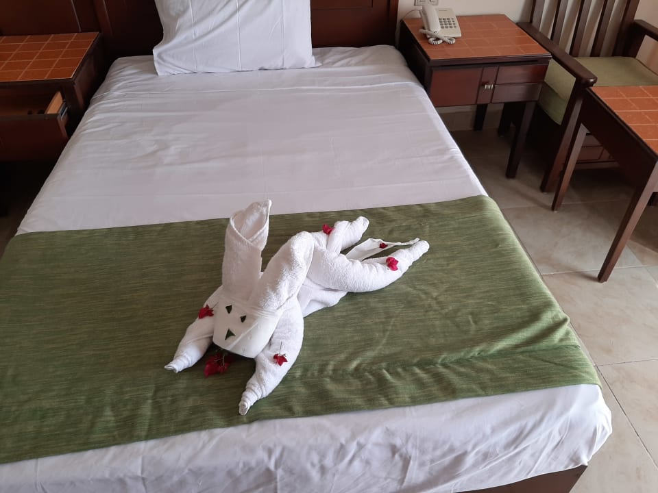Zimmer Laguna Beach Marsa Resort