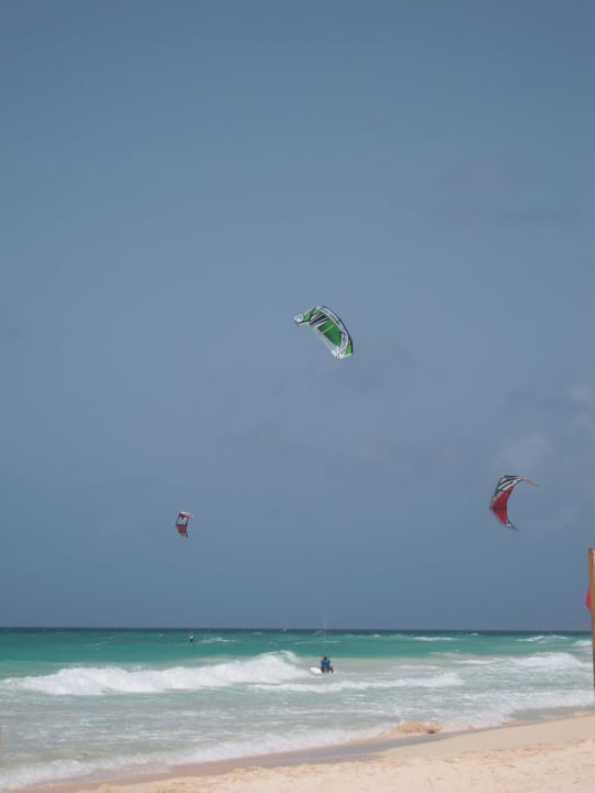 Kyte-Surfer etc. Hotel Bougainvillea Beach Resort