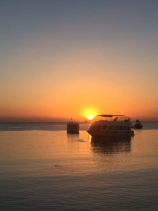 Ausblick Jaz Makadi Oasis Resort