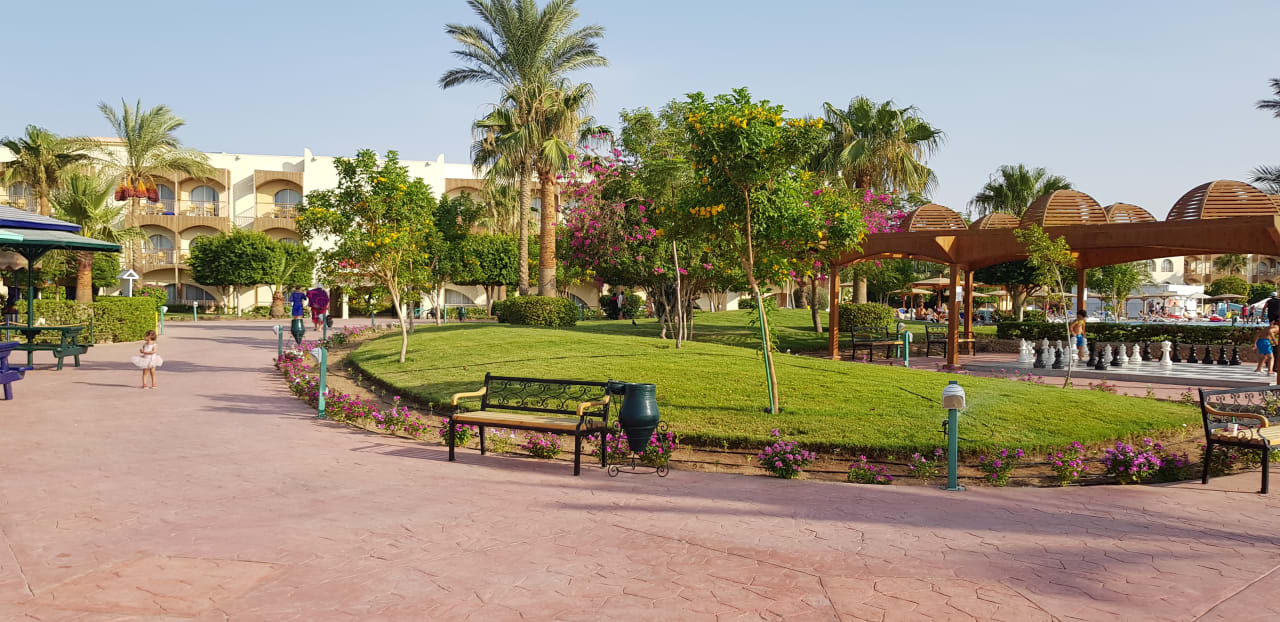 Gartenanlage Desert Rose