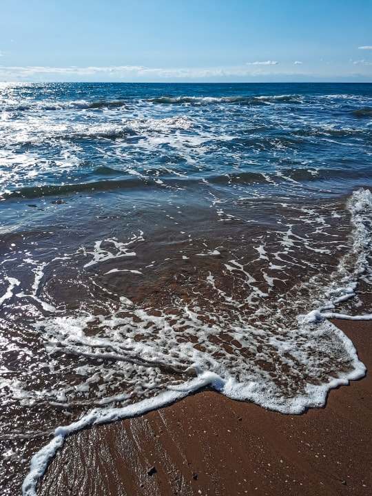 Strand Acanthus Cennet Barut Collection