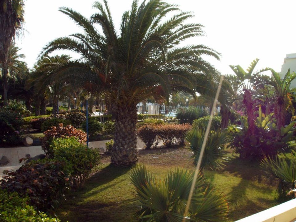 Zimmerblick SBH Fuerteventura Playa