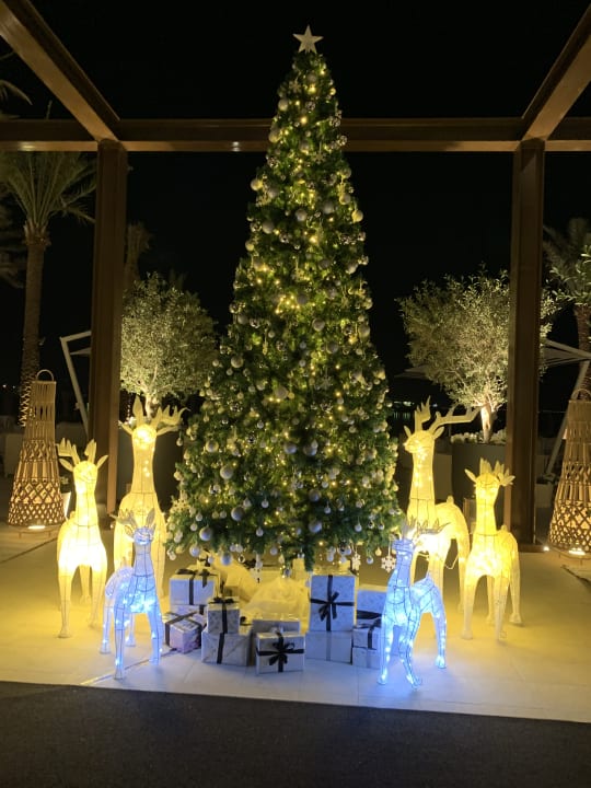 Gartenanlage Vida Beach Resort Umm Al Quwain