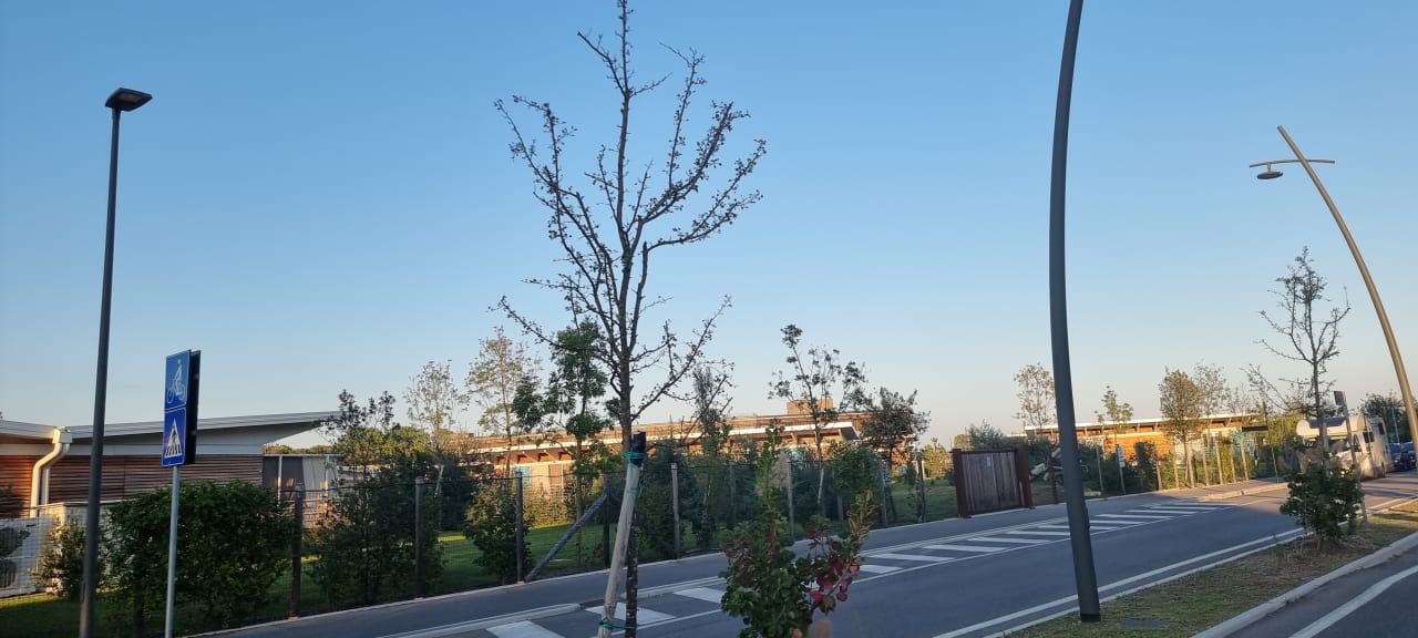 Außenansicht Lino delle Fate - Eco Village Resort