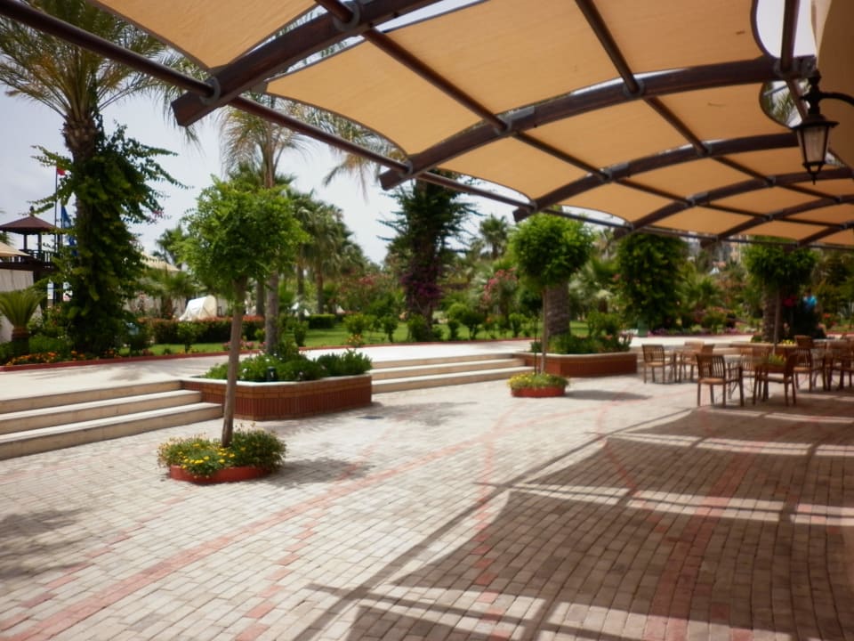 Snack´s und Getränke in der Nähe des Strandes Saphir Resort & Spa