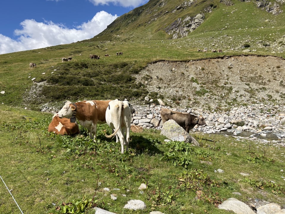 Sonstiges Active Nature Resort DAS SeeMOUNT