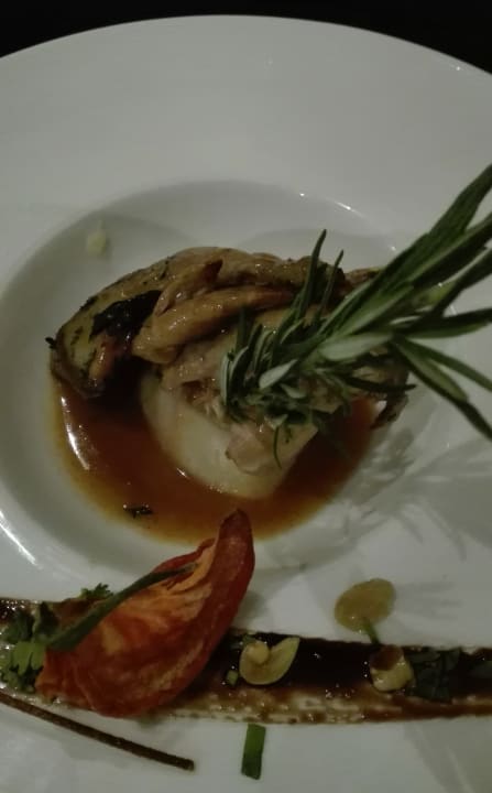 Gastro Acanthus Cennet Barut Collection